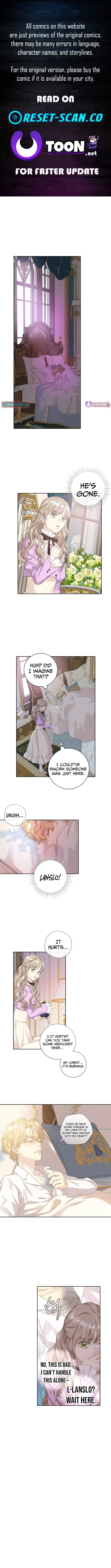 For My Husband’s New Wife Chapter 7 page 1 - 