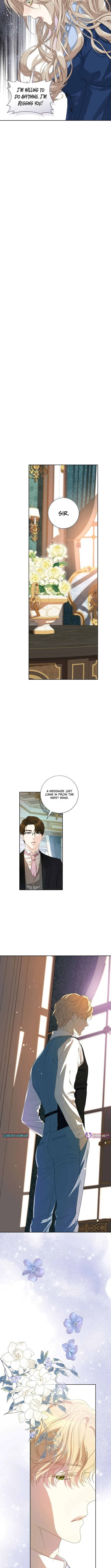For My Husband’s New Wife Chapter 8 page 9 - 