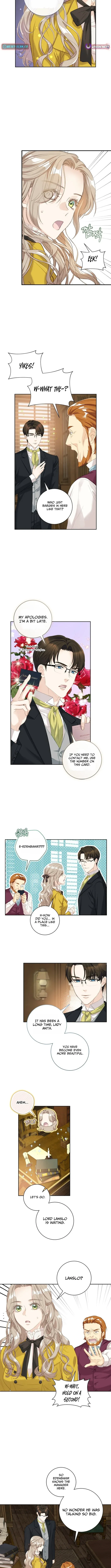 For My Husband’s New Wife Chapter 9 page 5 - 