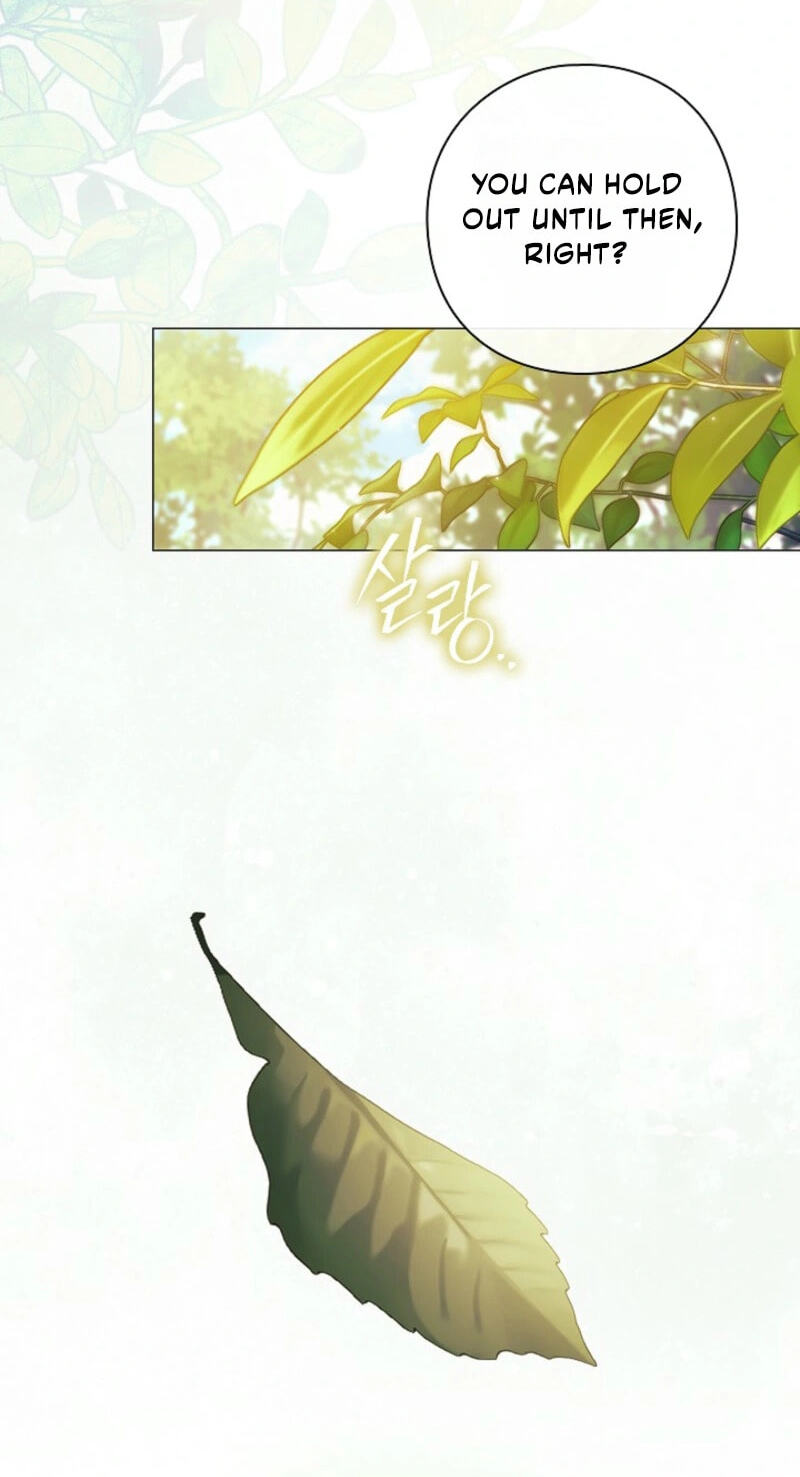 For the Goddesses: For Daphne Chapter 44 page 61 - 