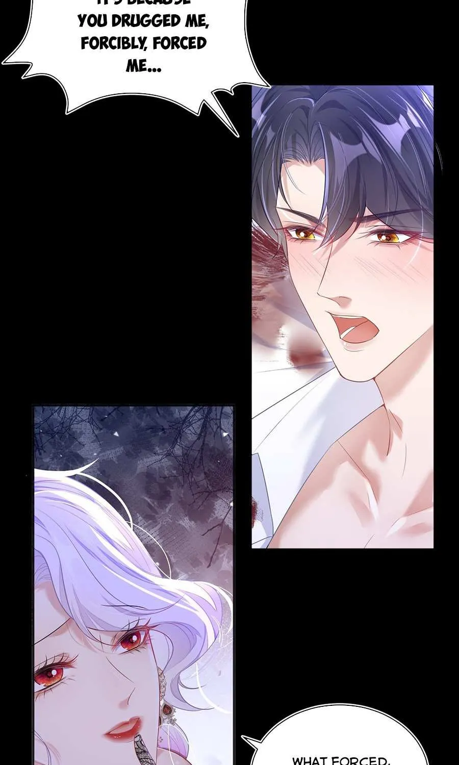 Forcibly Occupy His Highness the Prince Chapter 1 page 13 - 