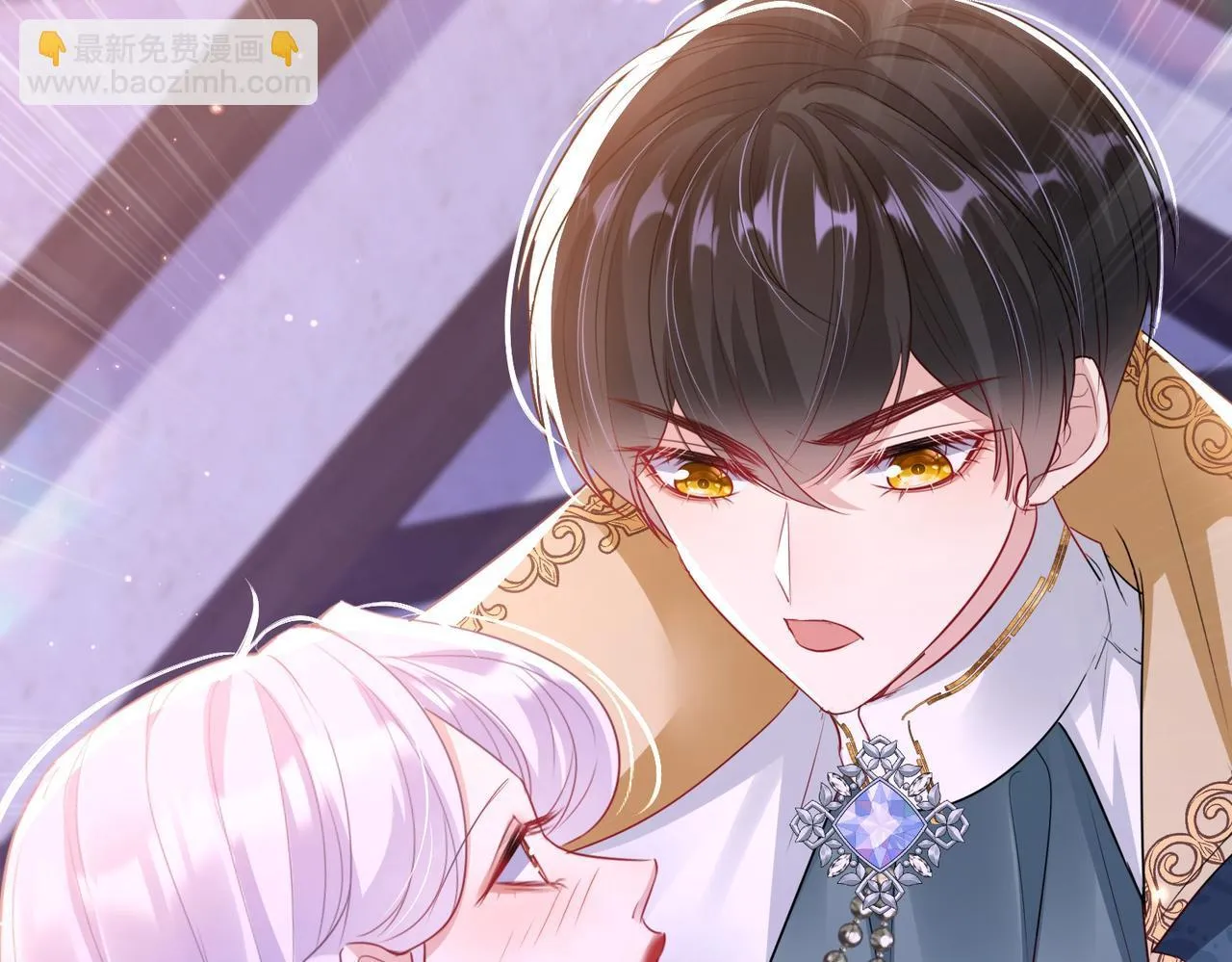 Forcibly Occupy His Highness the Prince Chapter 11 page 24 - 