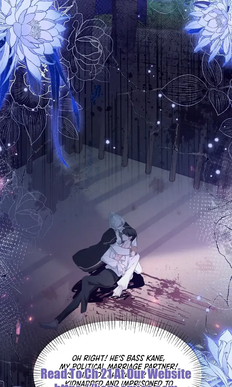 Forcibly Occupy His Highness the Prince Chapter 15 page 27 - 