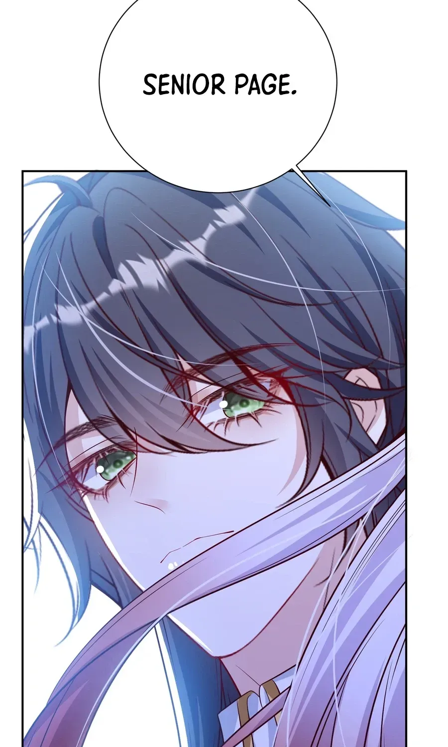 Forcibly Occupy His Highness the Prince Chapter 27 page 21 - 