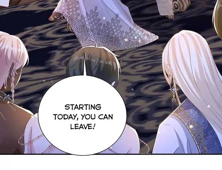 Forcibly Occupy His Highness the Prince Chapter 3 page 39 - 