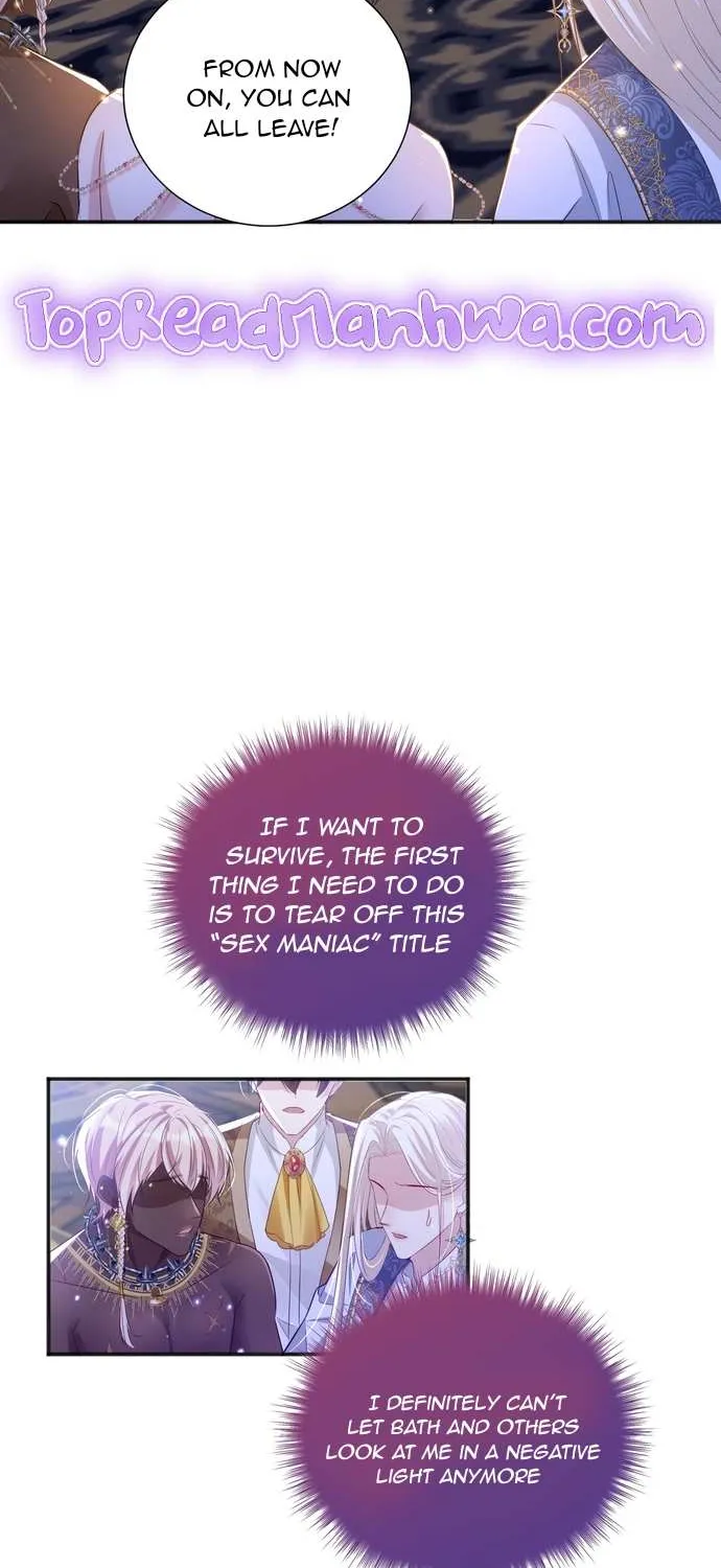Forcibly Occupy His Highness the Prince Chapter 4 page 29 - 