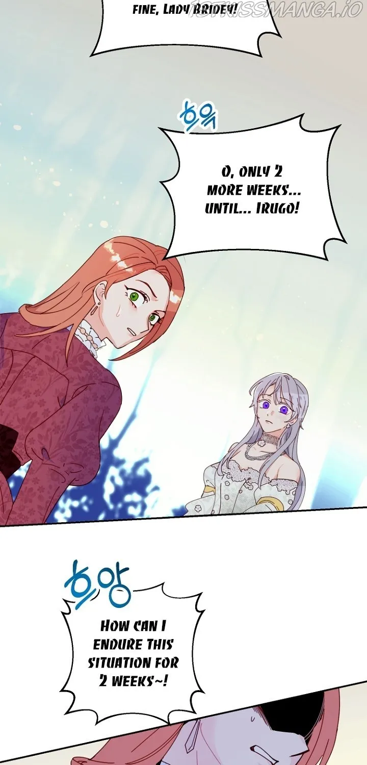 Forget My Husband, I’ll Go Make Money Chapter 2 page 20 - 