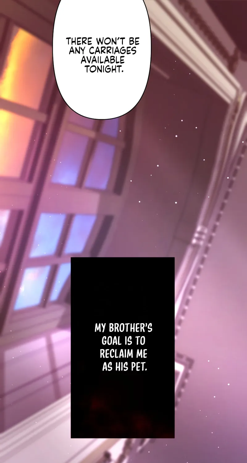 Forget That Night, Your Majesty Chapter 11 page 73 - 