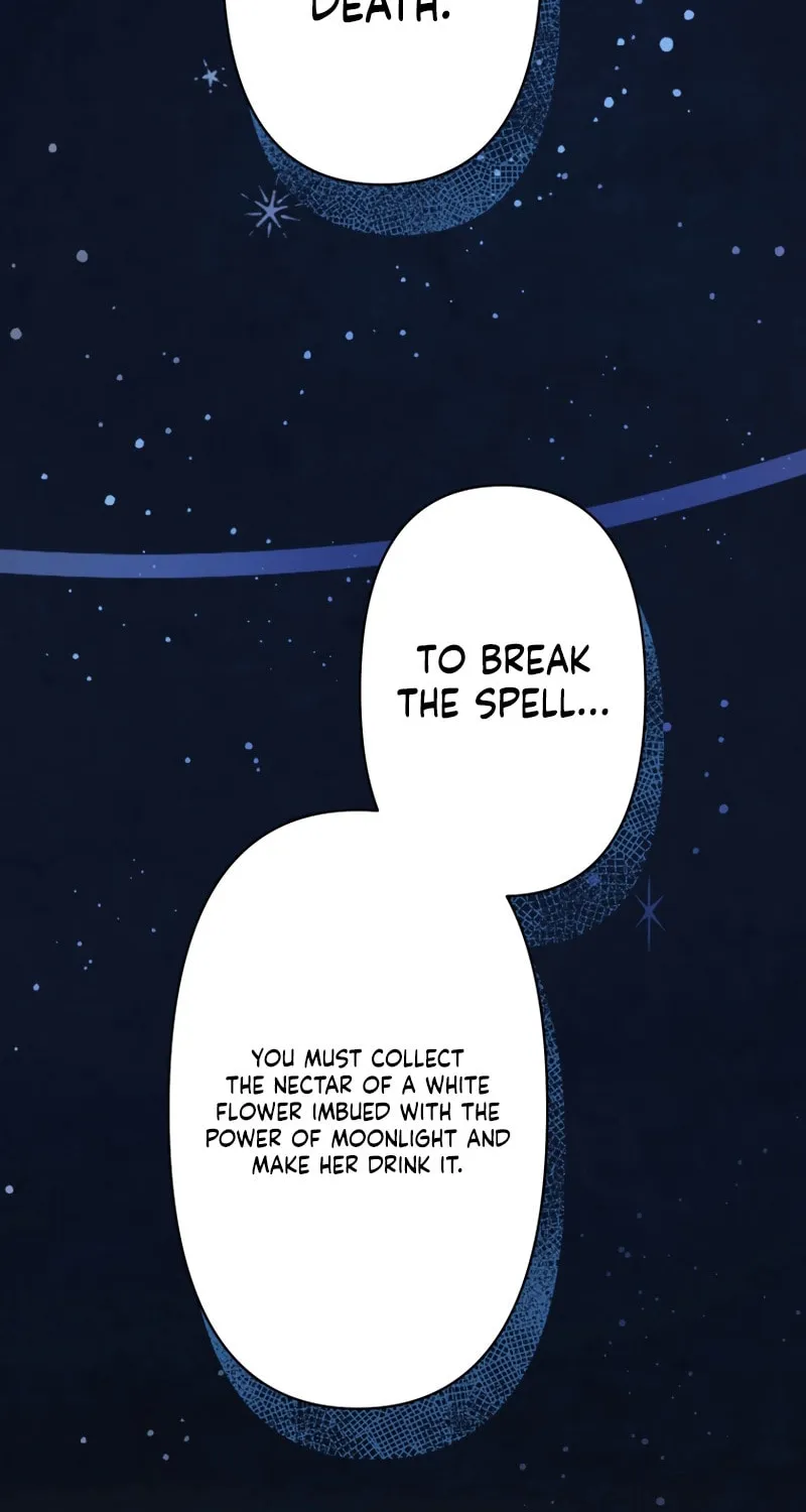 Forget That Night, Your Majesty Chapter 15 page 14 - 