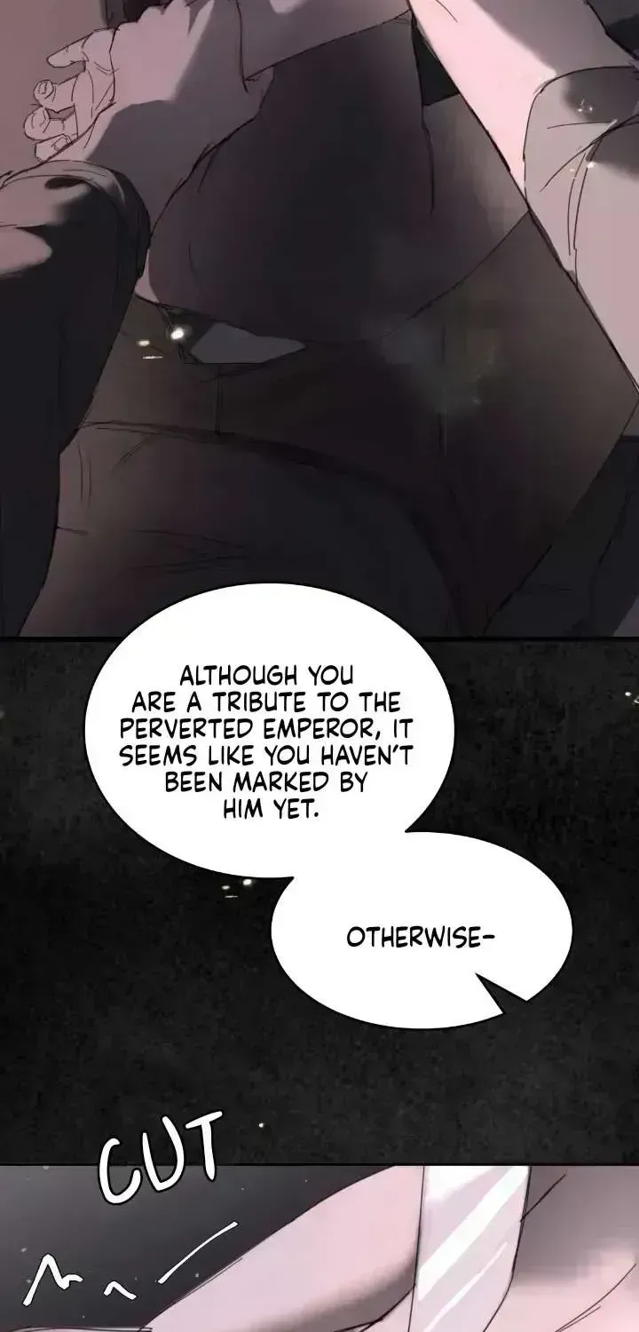 Former King Chapter 1.7 page 38 - 
