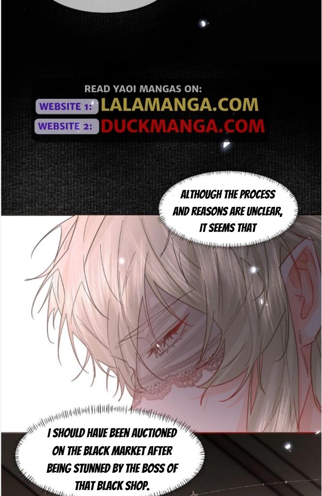 Former King Chapter 23 page 19 - 