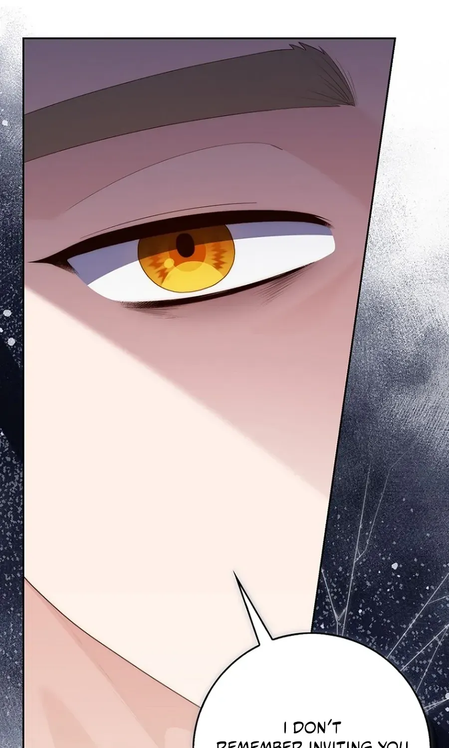 Fortune-Telling Lady Chapter 142 page 97 - 