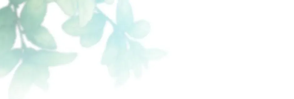 Fortune-Telling Lady Chapter 18 page 81 - 