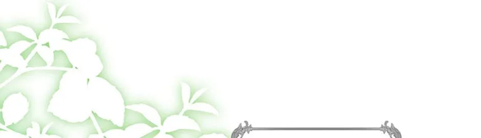 Fortune-Telling Lady Chapter 52 page 79 - 
