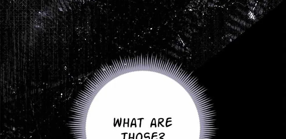 Fortune-Telling Lady Chapter 53 page 157 - 
