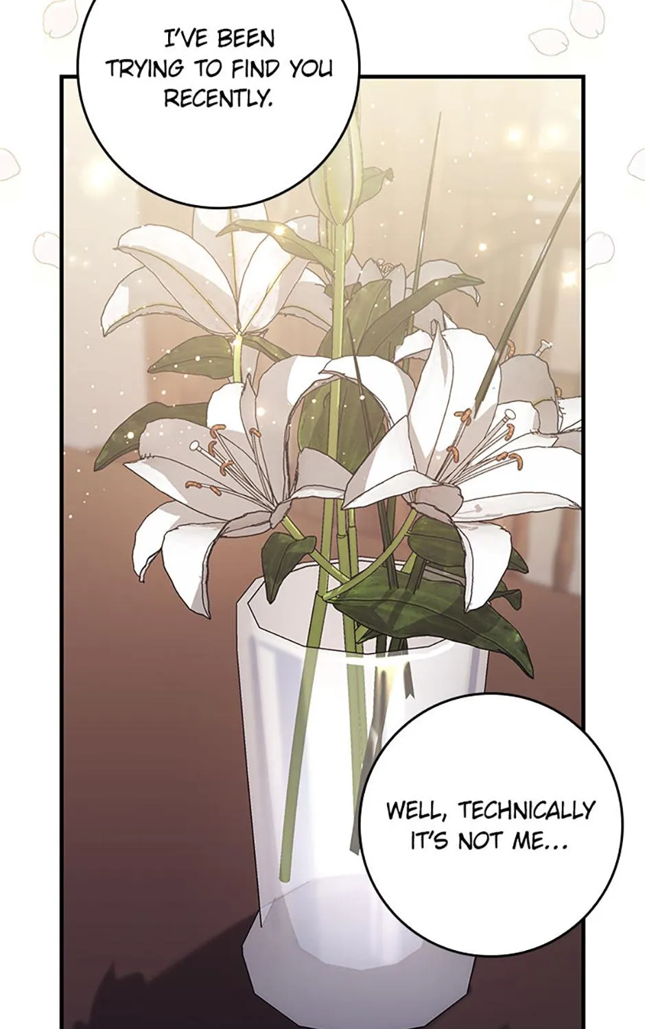 Fortune-Telling Lady Chapter 80 page 120 - 