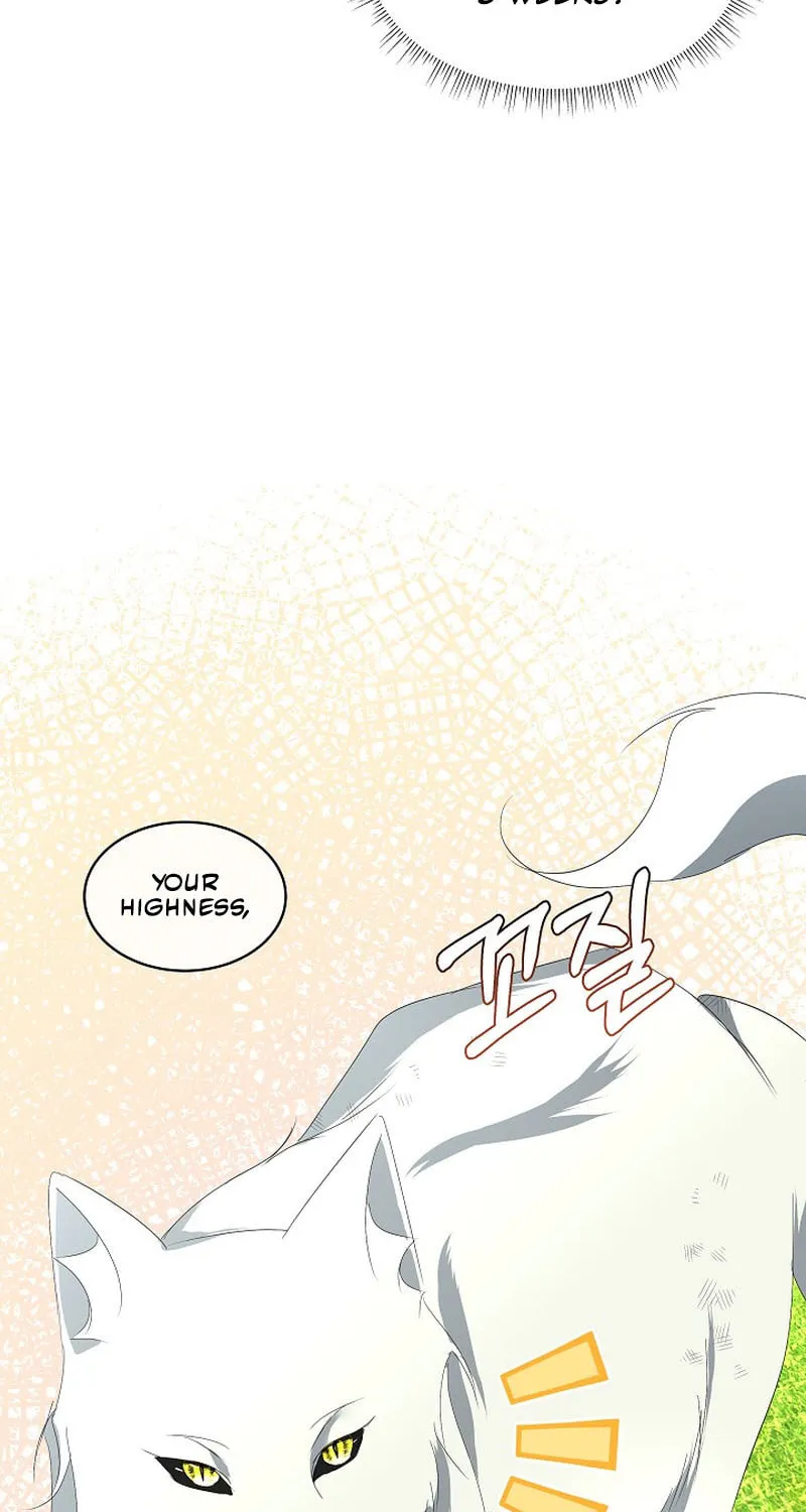 Fostering the Male Lead Chapter 12 page 71 - 