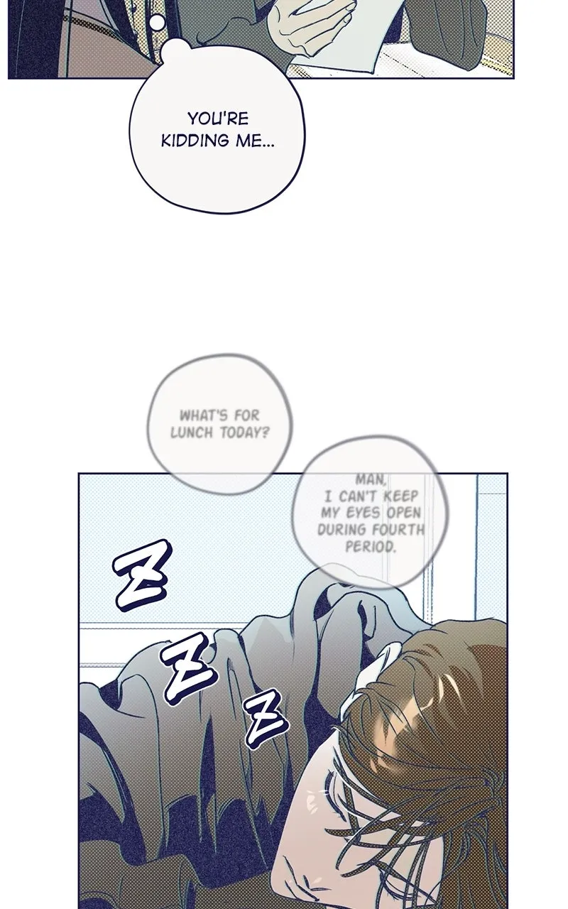 Four Options Chapter 1 page 127 - 