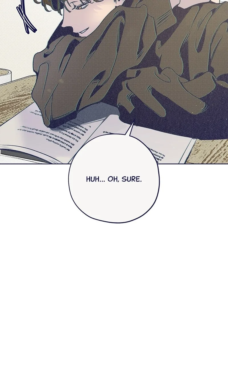Four Options Chapter 1 page 131 - 