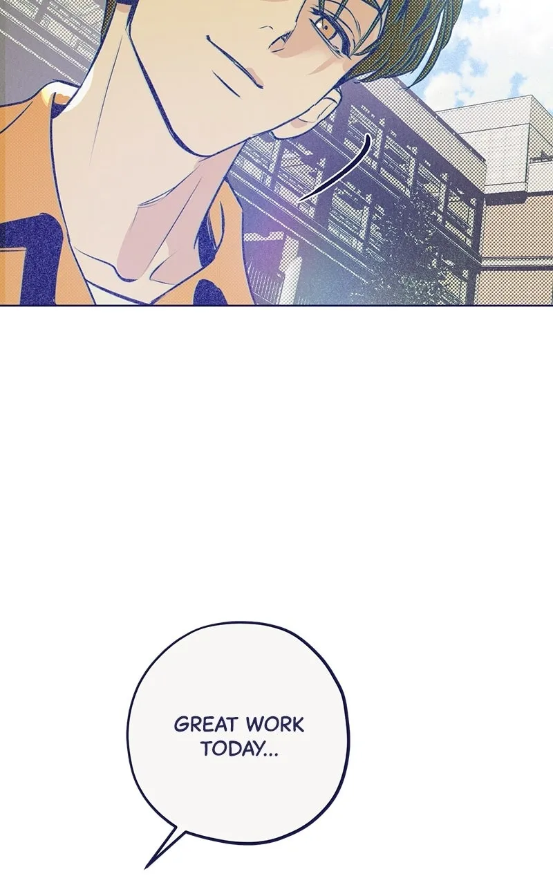 Four Options Chapter 1 page 27 - 