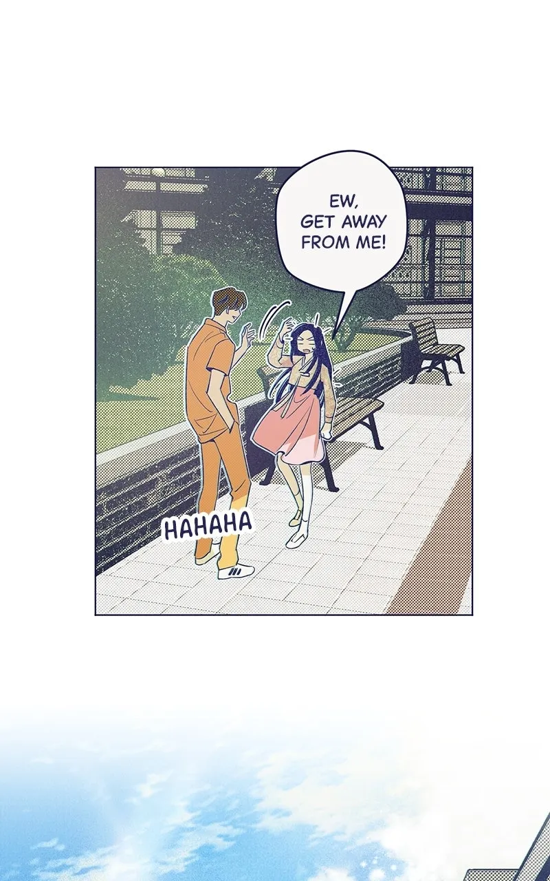 Four Options Chapter 1 page 29 - 