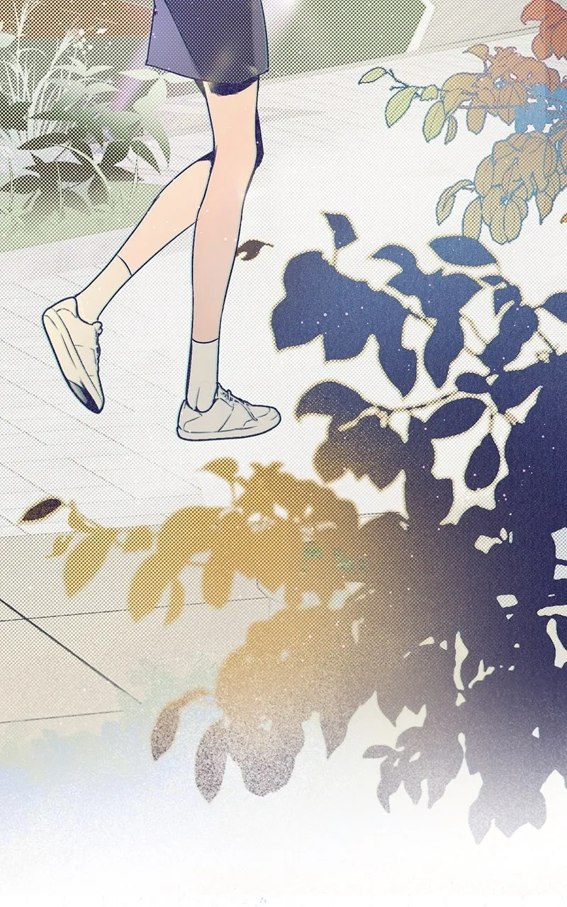 Four Options Chapter 1 page 62 - 