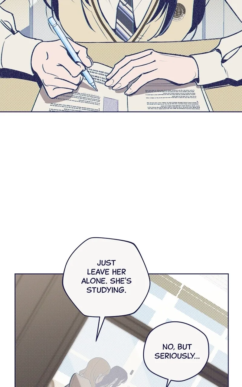 Four Options Chapter 1 page 67 - 
