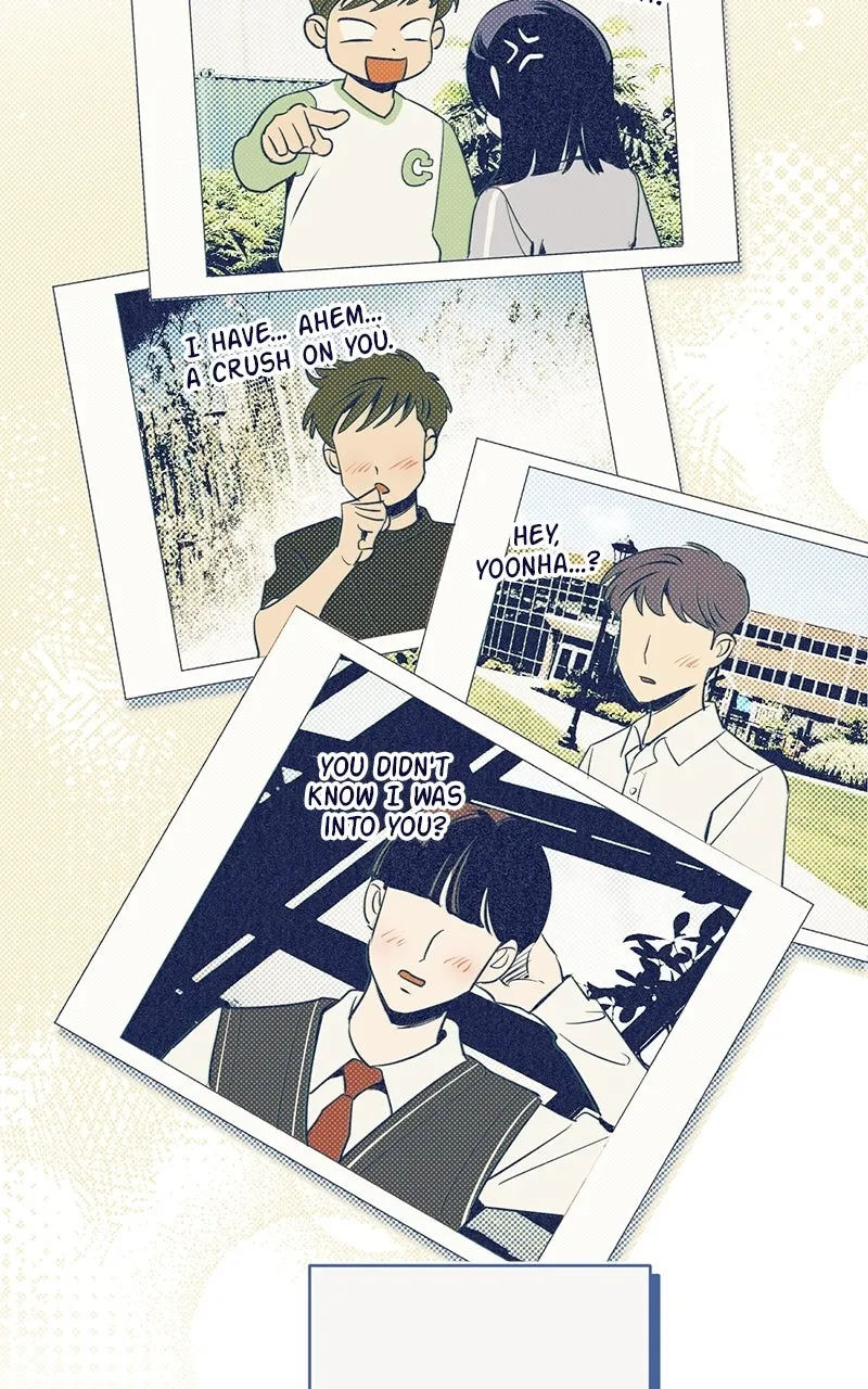 Four Options Chapter 1 page 74 - 