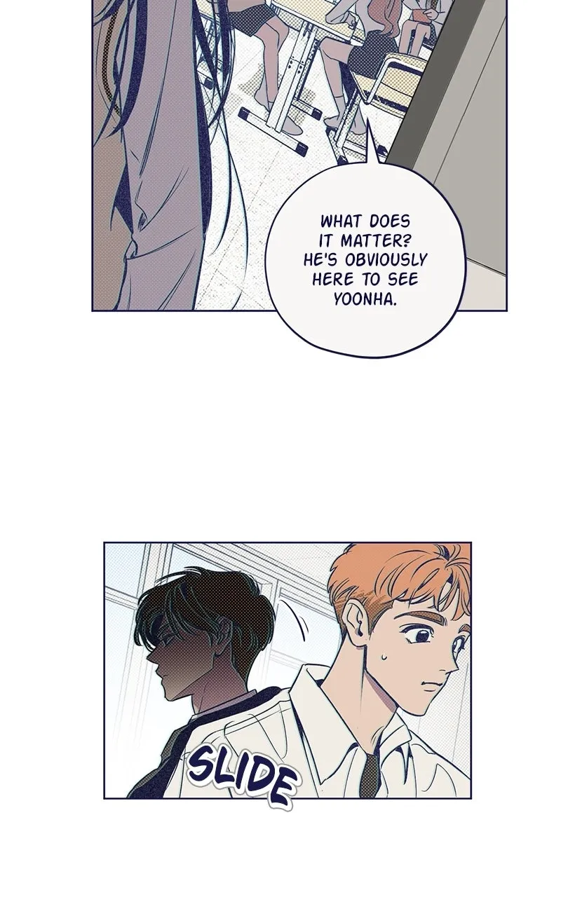 Four Options Chapter 1 page 84 - 