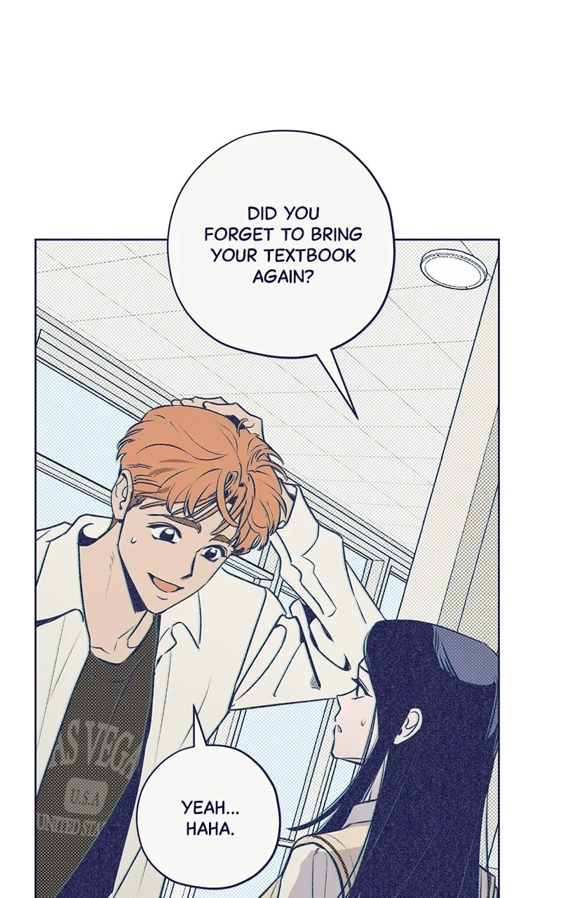 Four Options Chapter 1 page 85 - 