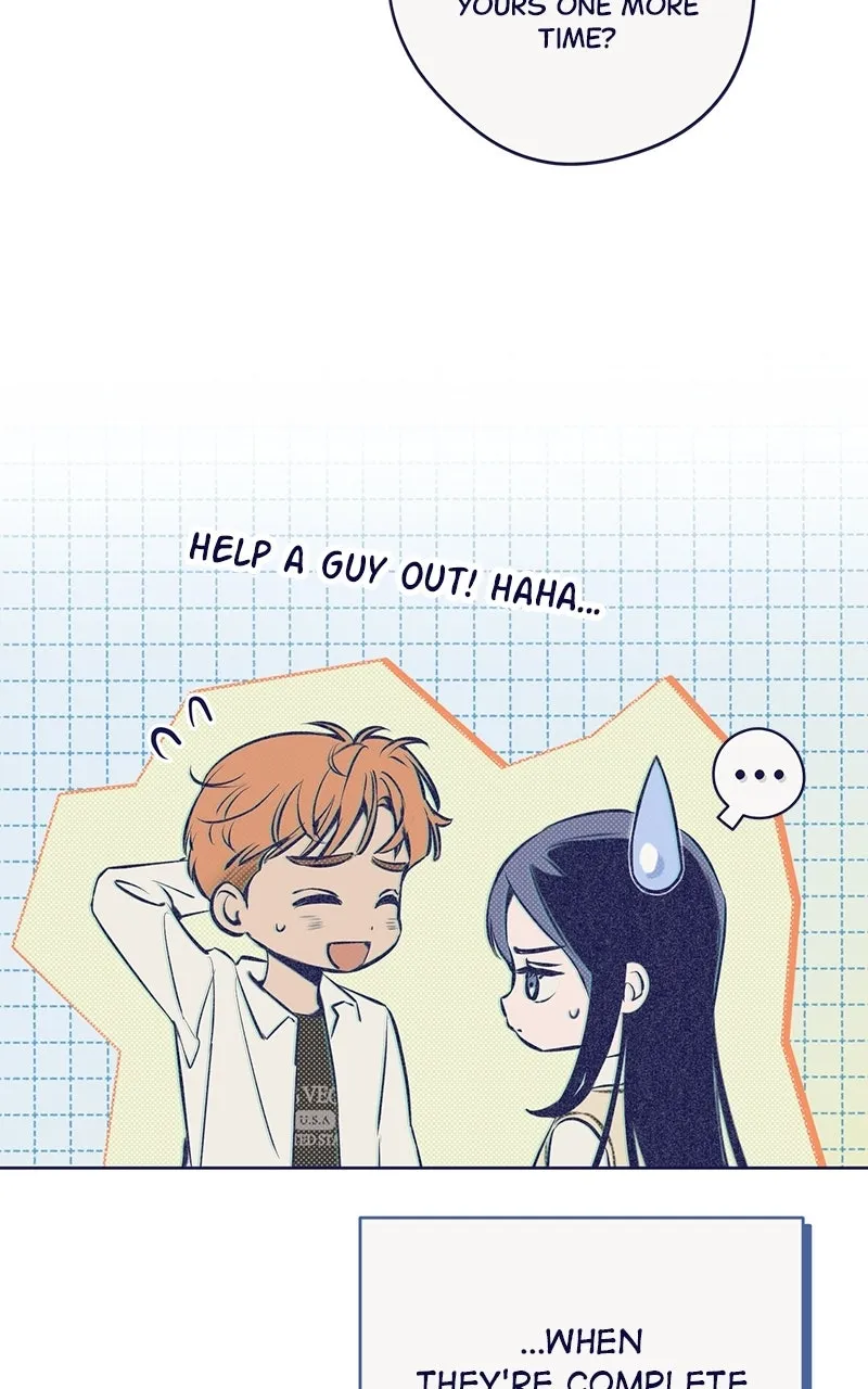 Four Options Chapter 1 page 88 - 