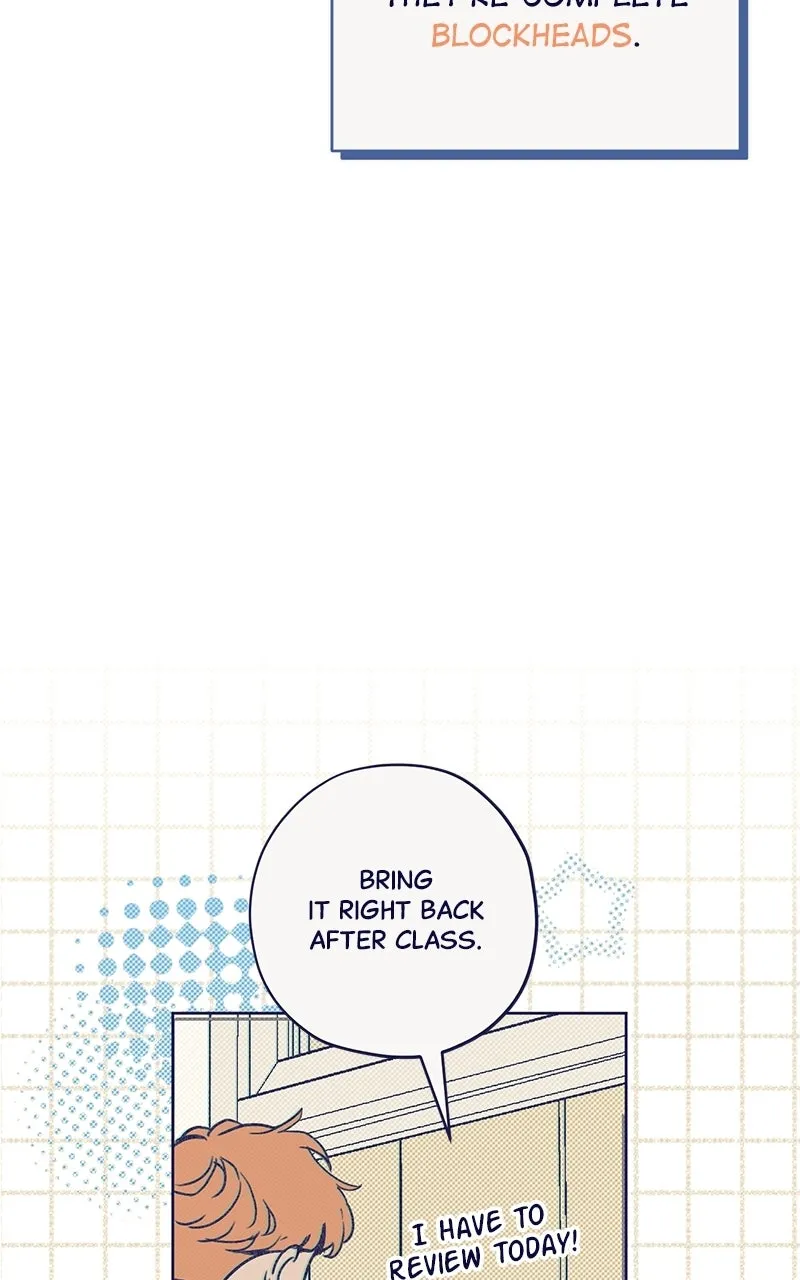 Four Options Chapter 1 page 89 - 