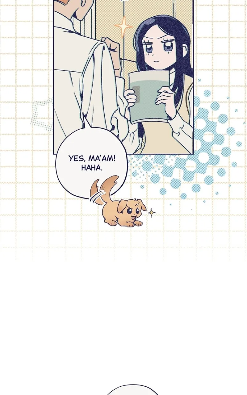 Four Options Chapter 1 page 90 - 