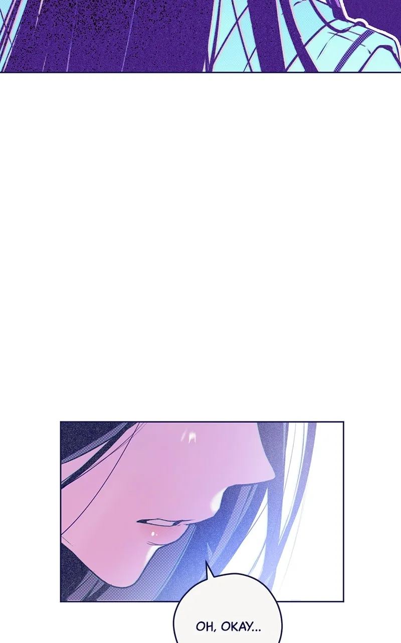 Four Options Chapter 2 page 105 - 