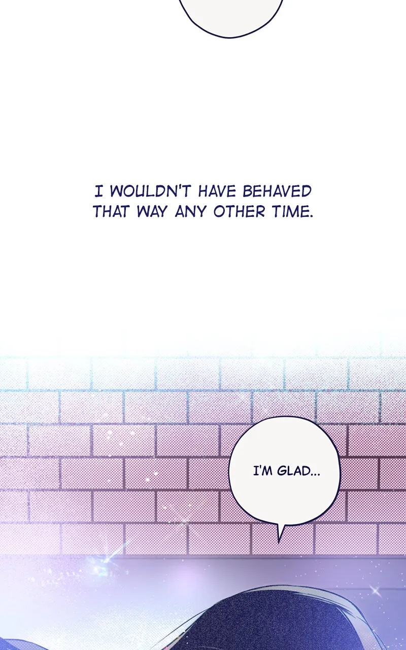 Four Options Chapter 2 page 106 - 
