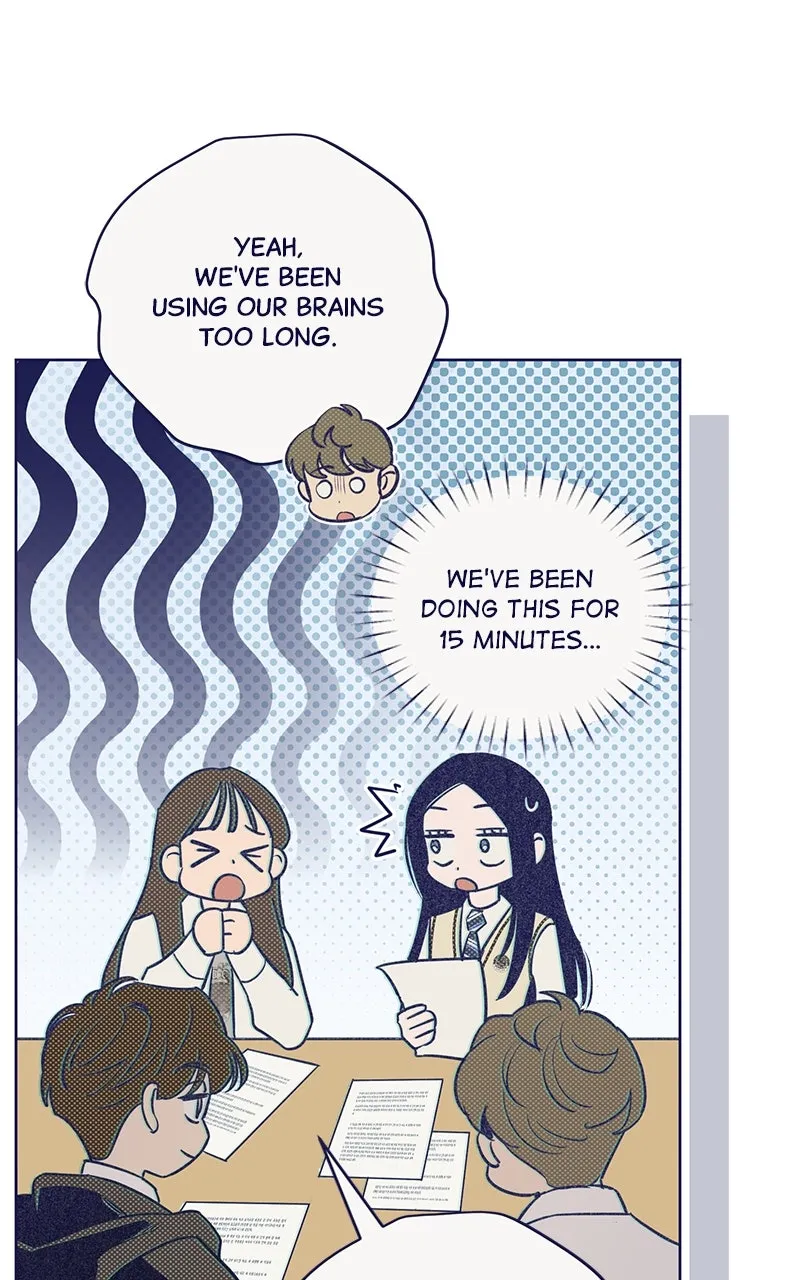 Four Options Chapter 2 page 16 - 