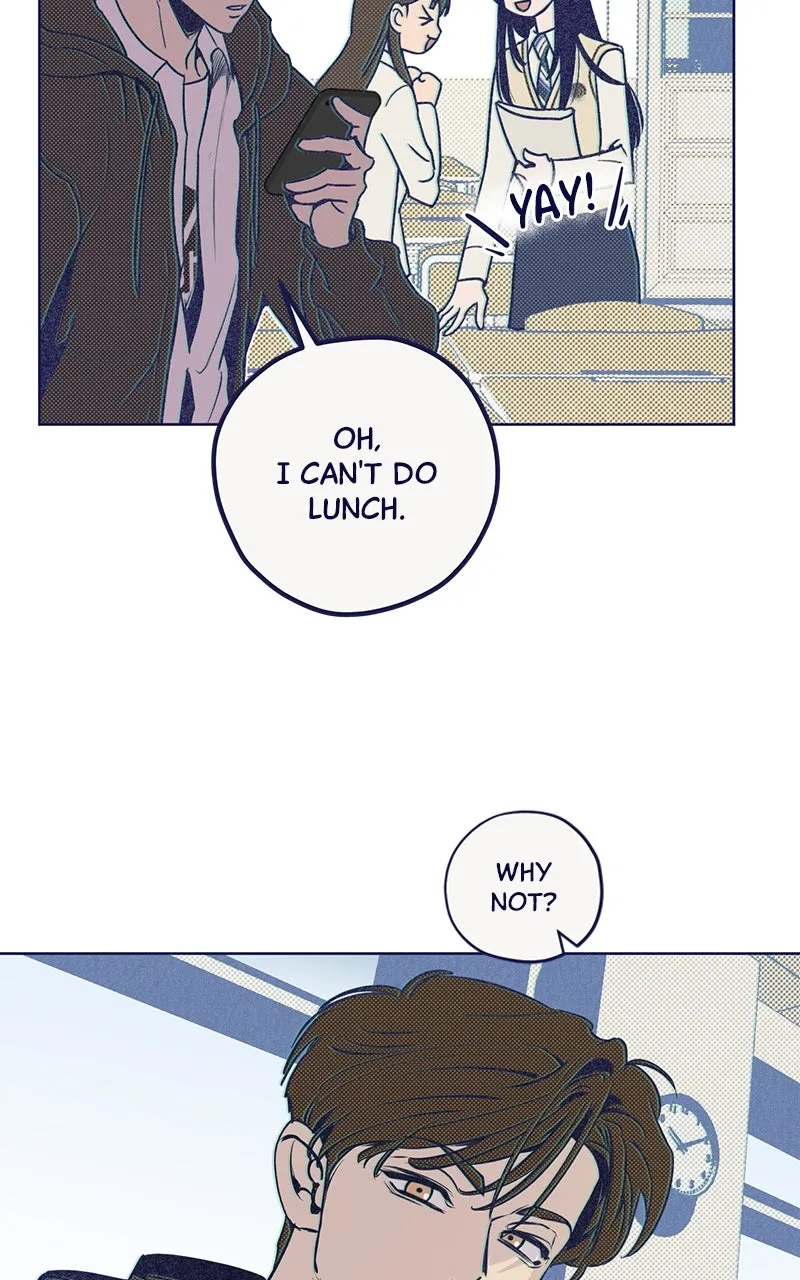 Four Options Chapter 2 page 18 - 