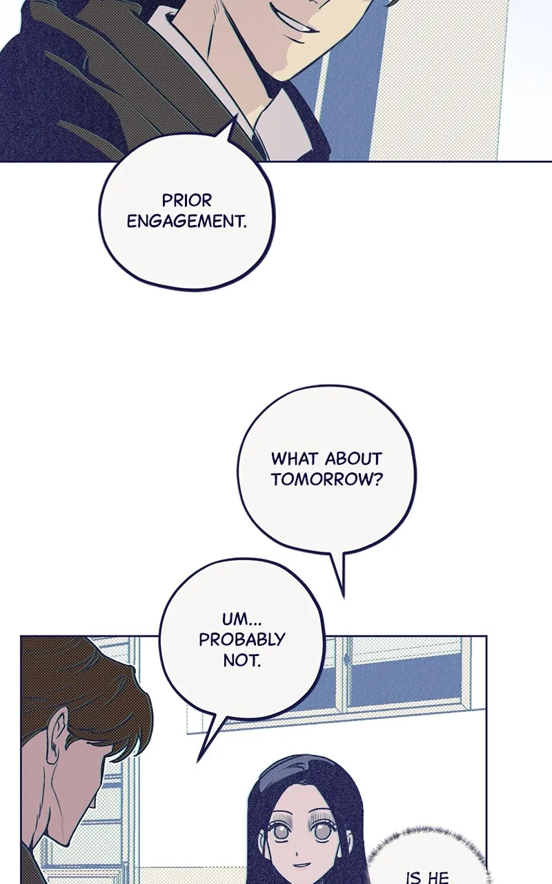 Four Options Chapter 2 page 19 - 