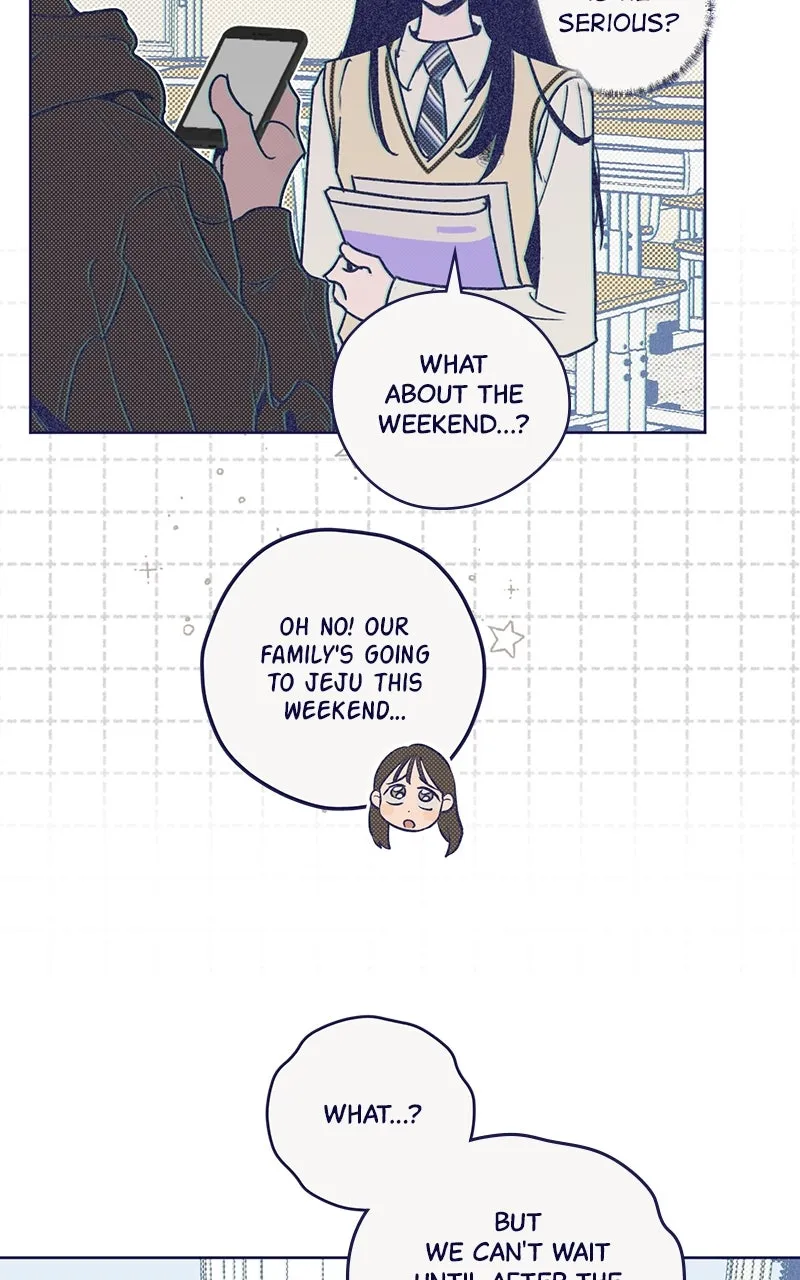 Four Options Chapter 2 page 20 - 