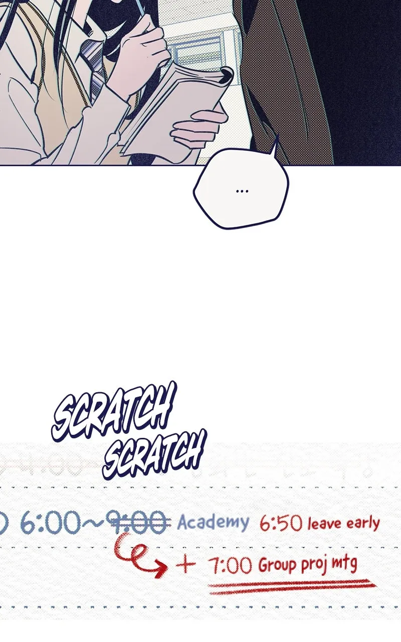 Four Options Chapter 2 page 24 - 