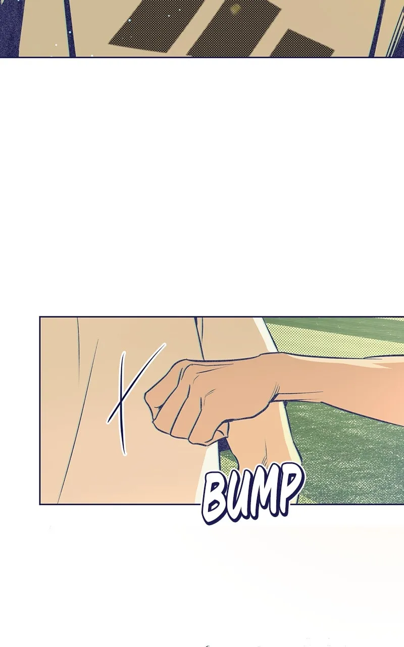 Four Options Chapter 2 page 38 - 