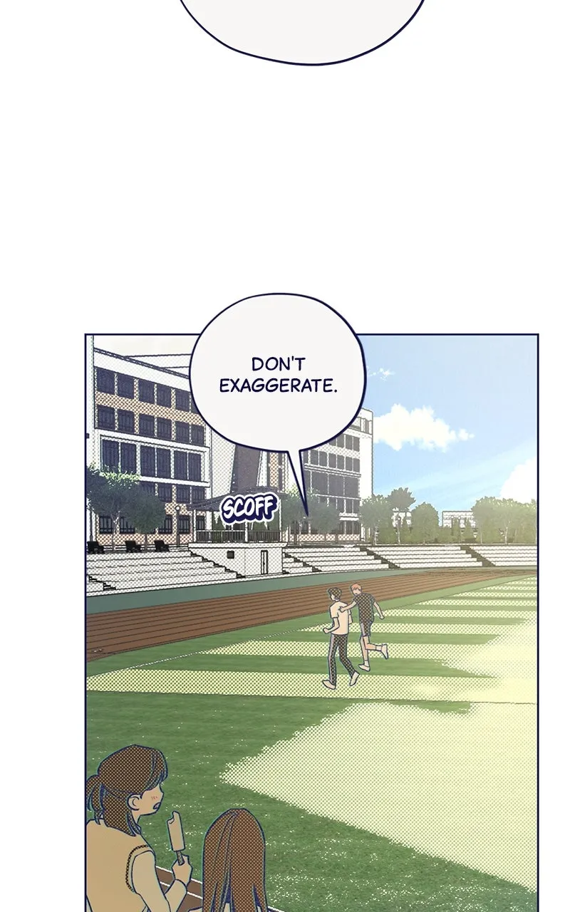 Four Options Chapter 2 page 40 - 