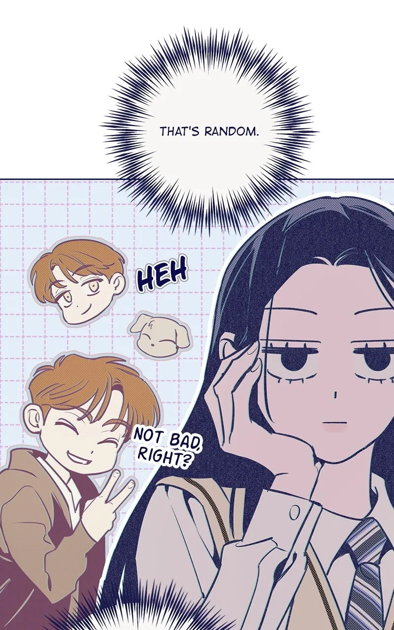 Four Options Chapter 2 page 5 - 