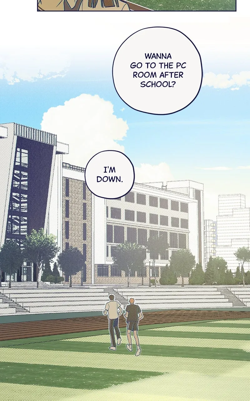 Four Options Chapter 2 page 41 - 