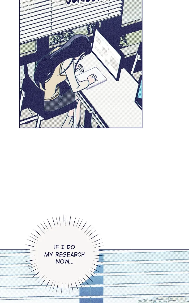 Four Options Chapter 2 page 43 - 