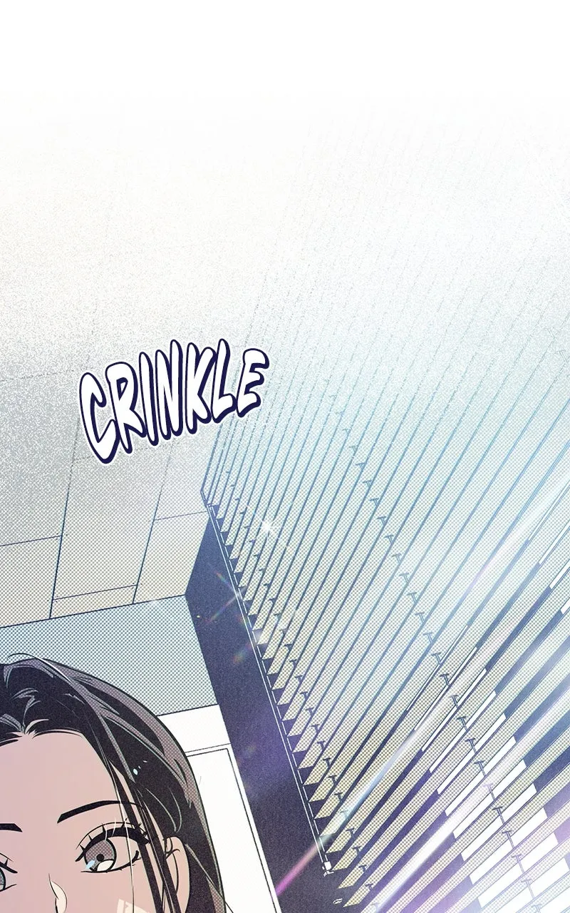 Four Options Chapter 2 page 48 - 