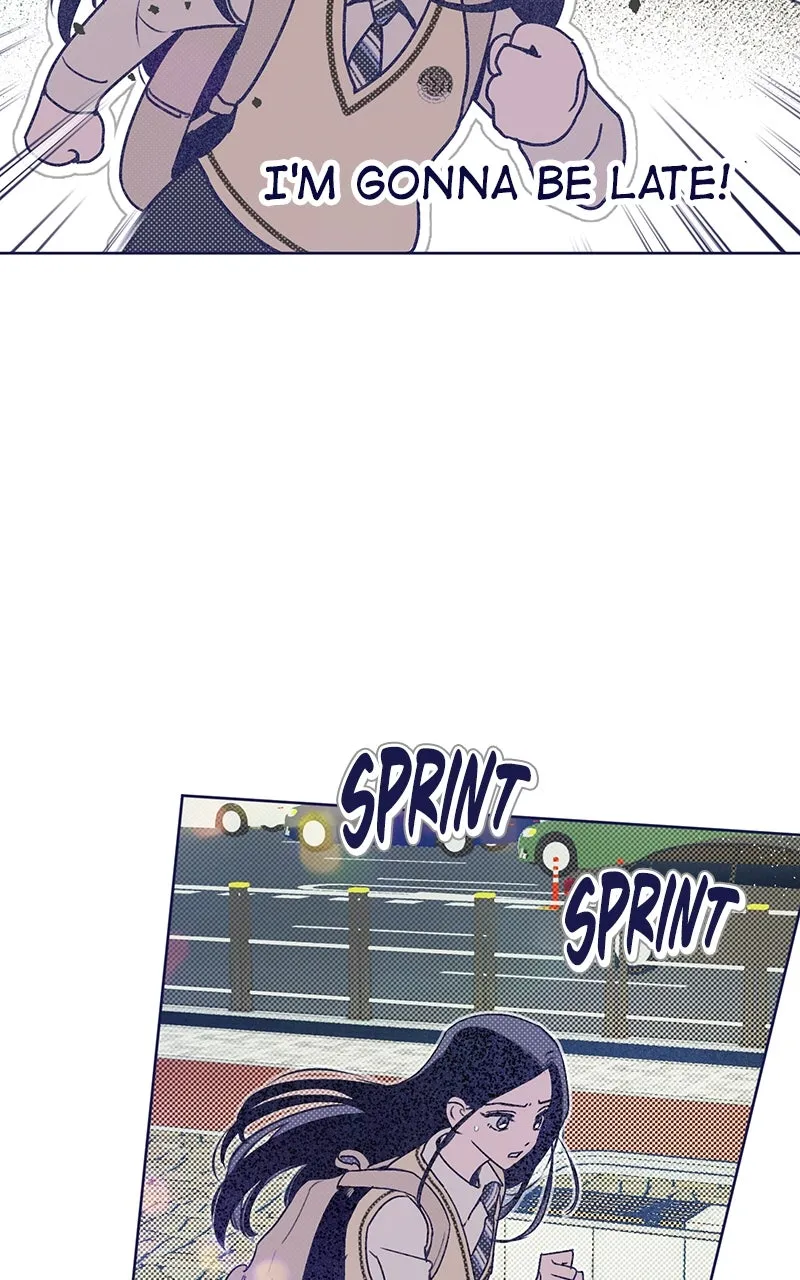 Four Options Chapter 2 page 54 - 