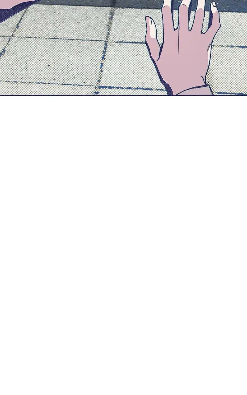 Four Options Chapter 2 page 62 - 