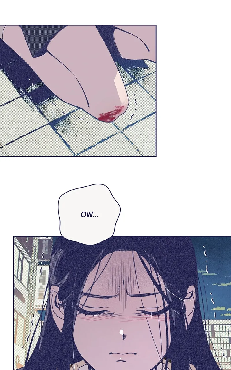 Four Options Chapter 2 page 63 - 