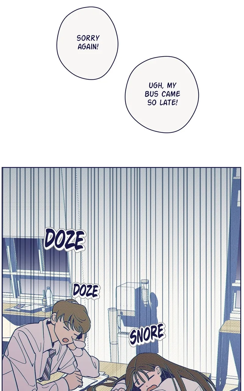 Four Options Chapter 2 page 80 - 